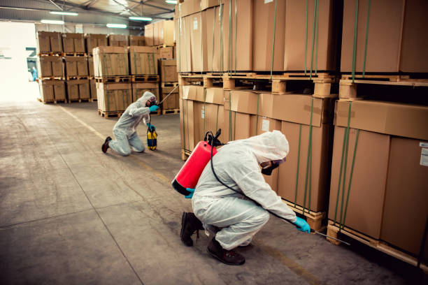 Best Emergency Pest Control  in Raytown, MO