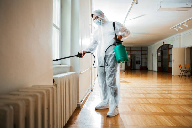 Professional Pest Control in Raytown, MO
