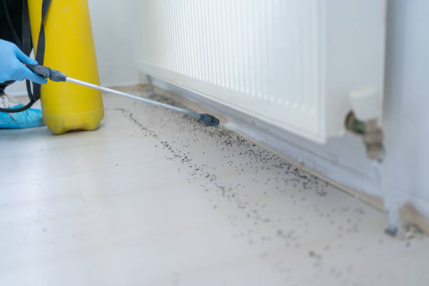 Best Pest Removal Services  in Raytown, MO
