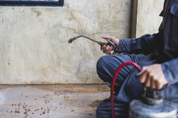 Best Best Pest Control Companies  in Raytown, MO